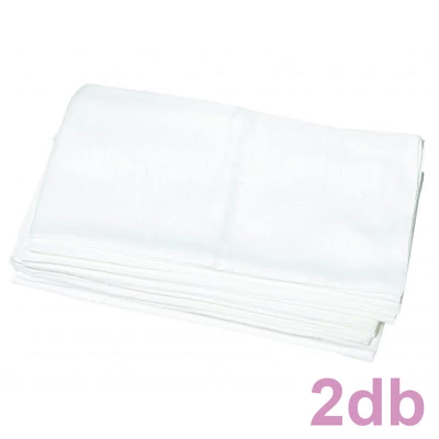 BabyBruin Textilpelenka Cseh fehér 70 * 70 cm (2 db/cs)