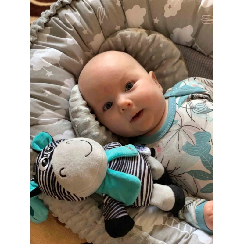 Fejlesztő zenélő játék Baby Mix zebra