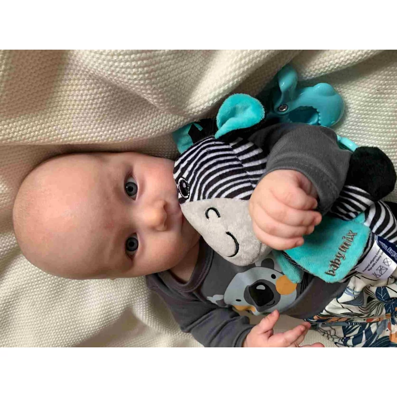 Fejlesztő zenélő játék Baby Mix zebra